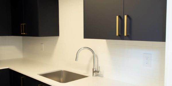 black and white modern kitchen custom home design in Toronto